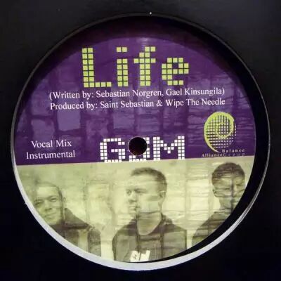 <a href=\'\'>GSM</a> - Life