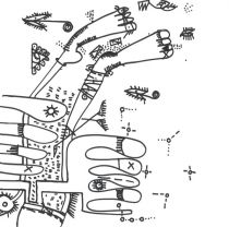 <a href=\'\'>Point G</a> - #9