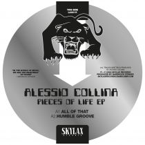 Alessio Collina - Peces of life