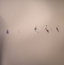 Anom Vitruv - Anomie 