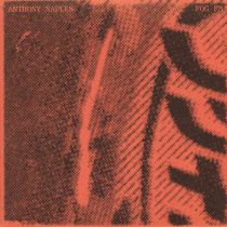 Anthony Naples - Fog Fm