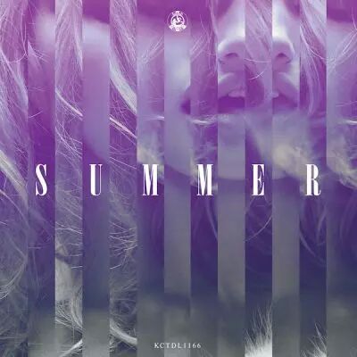 Berget Lewis,Elle Gee,James Jacob,Kerri\'s Kaoz,Lafayette,Opolopo,Roog & Dennis Quin,T WIlliams  - Madhouse Summer 