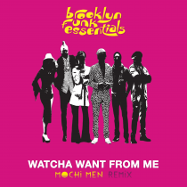Brooklyn Funk Essentials - Watcha Want From Me (Mochi Men Remix)
