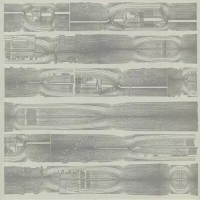 Carcass Identity - Carcass Identity