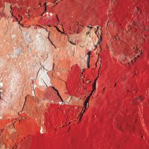 Cyclades feat. Modern House Quintet - Bellezza