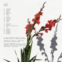 Cyclades feat. Modern House Quintet - Bellezza