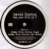 David Duriez - Can You Feel It?