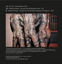 DJ SPRINKLES & HARDROCK STRIKER FEAT. MOVE D