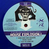 DJ Sprinkles Presents K.S.H.E - House Explosion I [Repress]