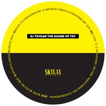 Dj Tsygan - The Sound Of Tsy