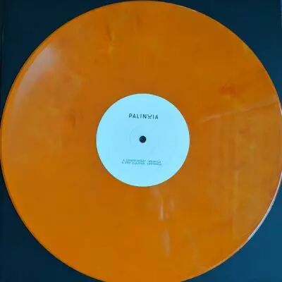 Donato Dozzy / Eric Cloutier - Palinoia LTD 001 