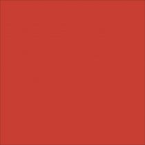 E.R.P - Evoked Potentials 3/3