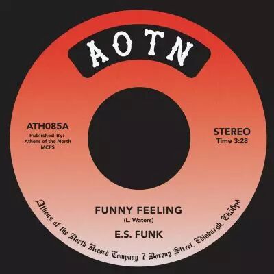 E.S. Funk - Funny Feeling