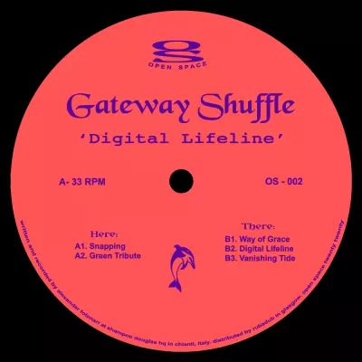 Gateway Shuffle - Digital Lifeline