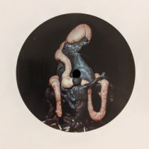 Heith & Weightausend