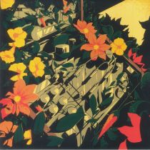 Hybrid Man - Overgrown Echos