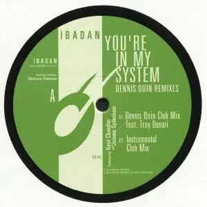 Jerome Sydenham And Kerri Chandler ‎� You\'re In My System (Dennis Quin Remixes)