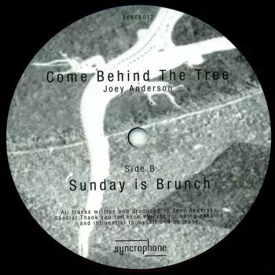  Joey Anderson  ‎� Come Behind The Tree 