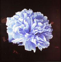 J.T. Donalson - Make You High (Before I Go)