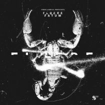 Killer Loop (juan Atkins Mix) / Terry Brookes / Msl  - Fluere Fatum