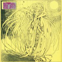 Lo Kindre - Chlorophytum