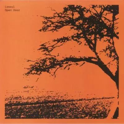 Losoul - Open Door [Remastered]