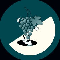 Lucas Moinet & Daerin - Fôret Nébuleuse