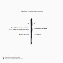 Magnétisme Animal - Les Bergers du Galetas