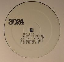 Martyn Ft SpaceApe - Is This Insanity?