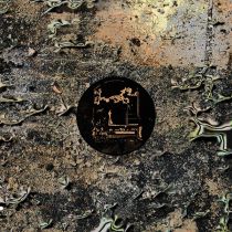 Ntel - Dilution Effect