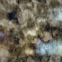 O Yuki Conjugate - Sleepwalker 