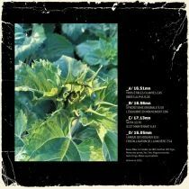 Originale Disco Version - Communion