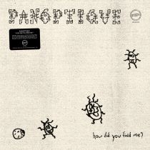 Panoptique - How did you find me? 