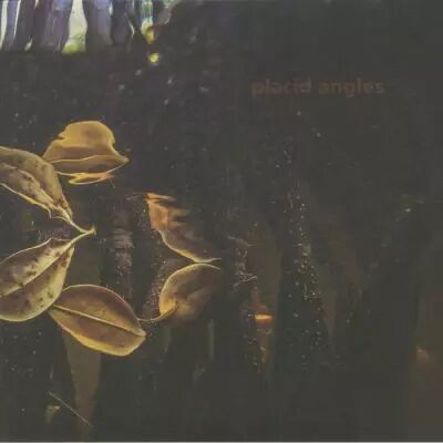 Placid Angles - Touch The Earth