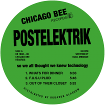 Postelektrik - So We All Thought We Knew Technology