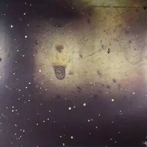 Robert Hampson - Suspended Cadences