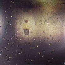 Robert Hampson - Suspended Cadences