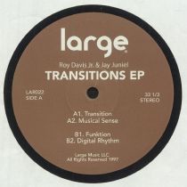 Roy Davis Jr / Jay Juniel - Transitions EP (reissue)