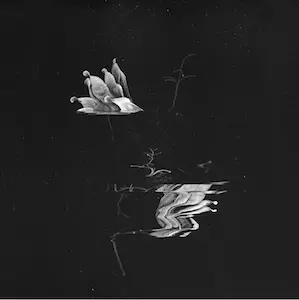 Safa - The Subtleties Of Elevated Things