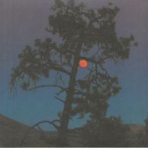 Sansibar - Sans Musique 