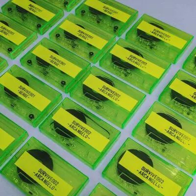 Serge - Survive001