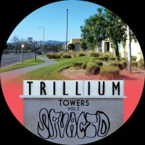 SFV Acid - Trillium Towers Vol.2