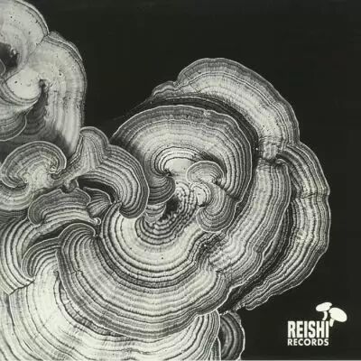 Stefano Di Carlo / Mauro Ruvolo