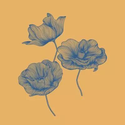 Stojche - Raison D\'�tre EP