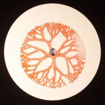 The Early Sound Collective - Early Cuts