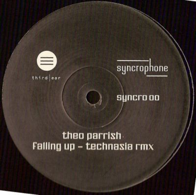 Theo Parrish - Falling up Technasia remix [repress]
