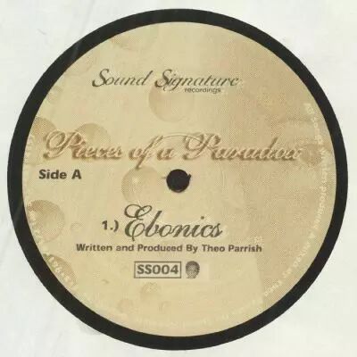 Theo Parrish - Pieces Of A Paradox