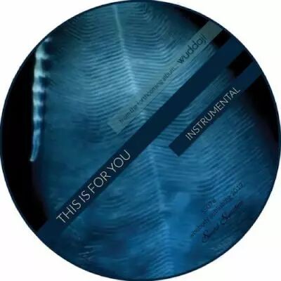 Theo Parrish - This is for You