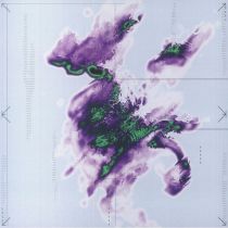 V/A - Cold Flower (Full Bloom) EP