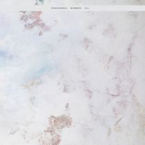 Valentino Mora Pres. - Transcendental Movements Vol. 1